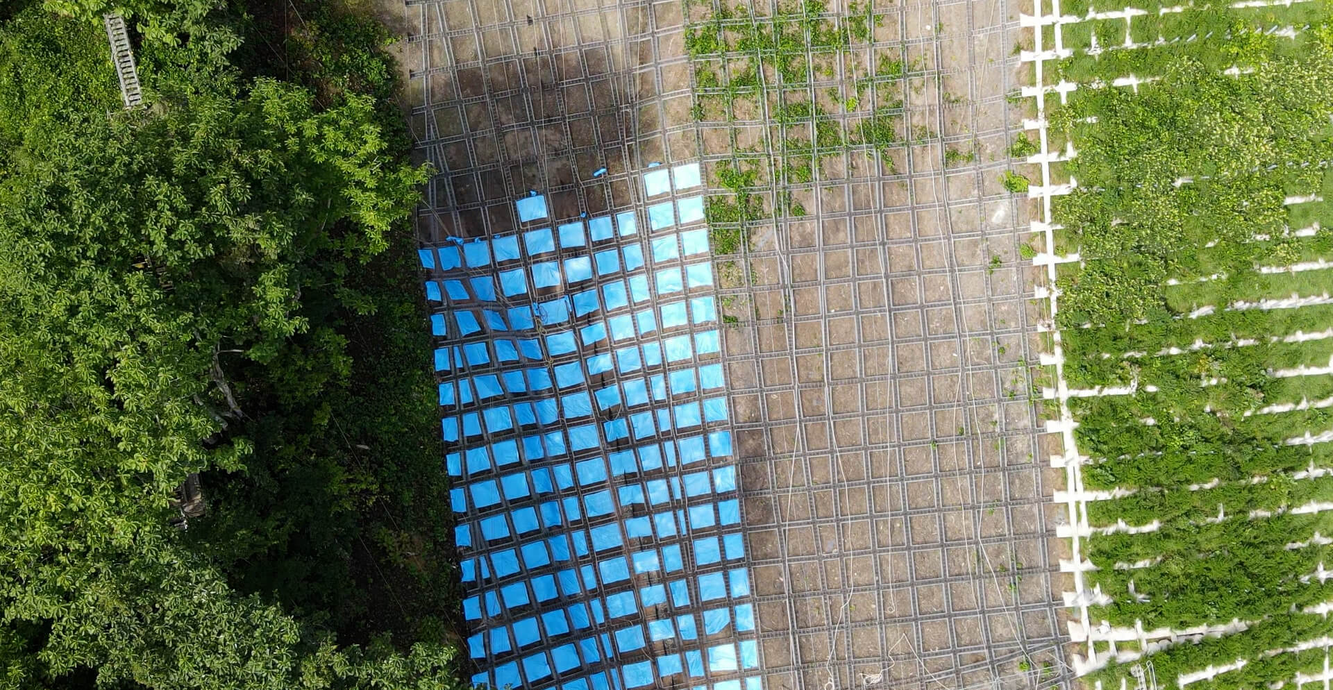 法面保護工事なら黒石市の株式会社乗田工業へｌ求人募集中